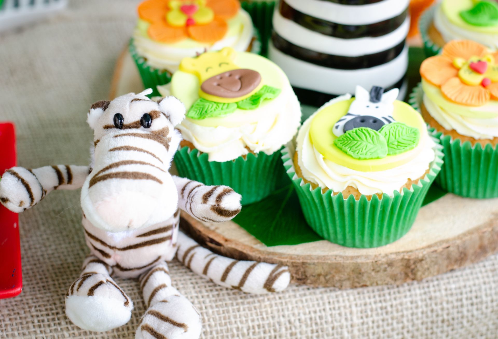 Foto Ethan is 1! Foto Ethan is 1! - Imagem 3