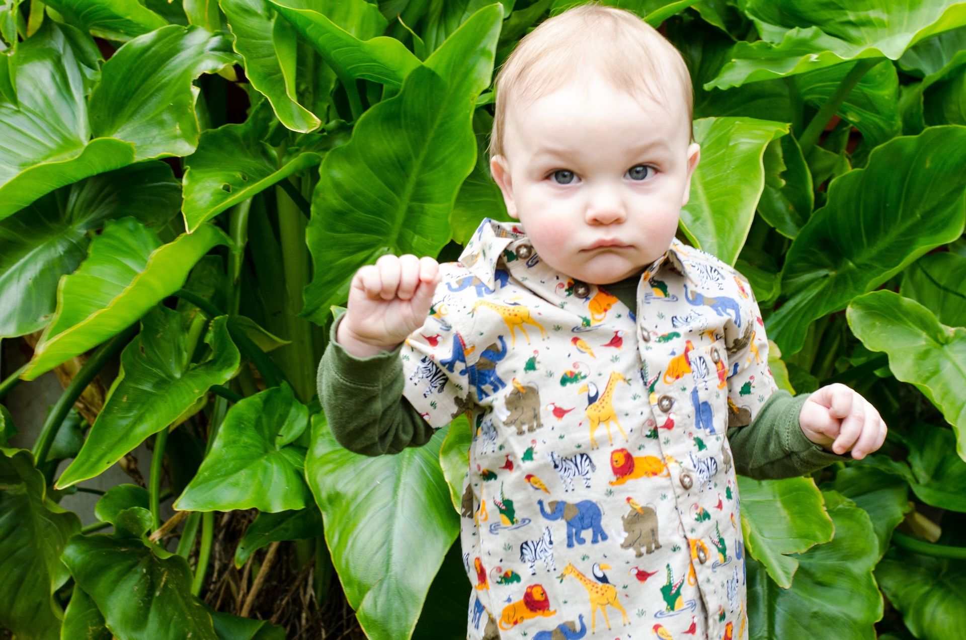 Foto Ethan is 1! Foto Ethan is 1! - Imagem 19